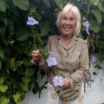 annette Single aus Meerbusch